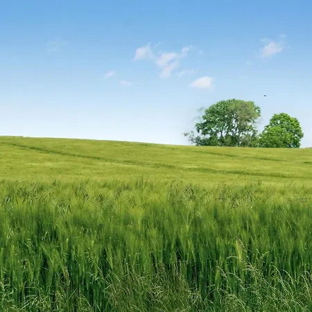 펜션 Thorwer - 250m From The Sea By Interhome *